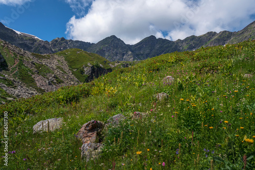 Alpine meadows in the valley of the Malaya Dukka River surrounded by the mountains of the North Caucasus on a sunny summer day, Arkhyz, Karachay-Cherkessia, Russia photo