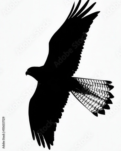 A bold silhouette of a falcon in mid-flight with its wings spread wide, set against a clean and faintly textured sky background to showcase its power and grace. 