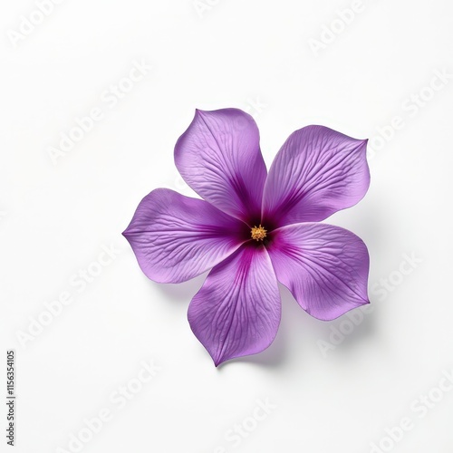 Vivid Purple Flowers - Elegant Floral Decoration Product Shoot on White Background photo