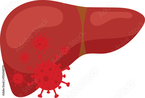 Human Liver Affected by Viral Infection Vector