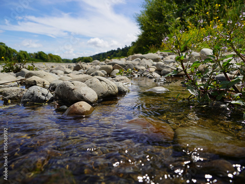 Hutt River at Belmont, Lower Hutt, Wellington photo