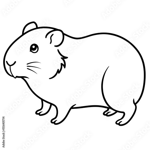 guinea pig