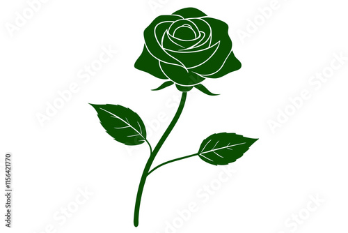 rose isolated on white background