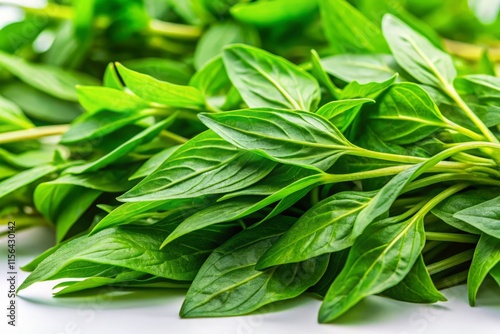 Fresh Organic Vietnamese Coriander, Pak Paew, Close-Up, White Background photo