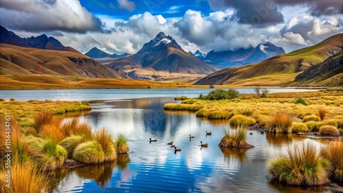 Puna Lagoon Ecuador: Wildlife Photography - Birds, Landscapes, Andean Ecosystem