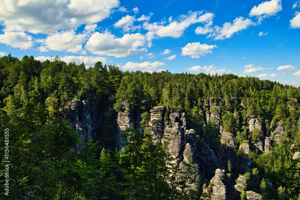 Fototapeta premium Elbsandsteingebirge - Gebirge - Sächsische Schweiz - Deutschland - Sachsen - Gebirge - Berg - Berge - Fels - Beautiful - Saxon Switzerland