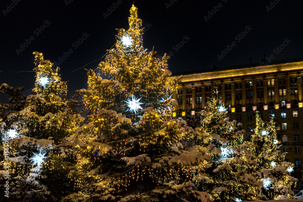 Naklejka premium christmas tree at night