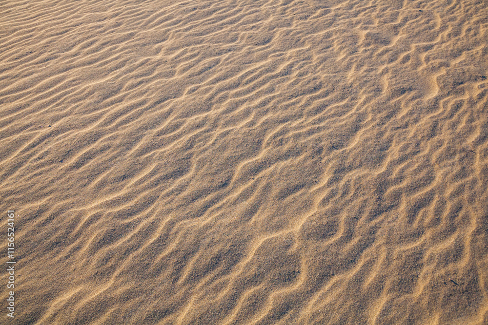 Obraz premium 秋の鳥取砂丘とその紋様 鳥取県 鳥取砂丘