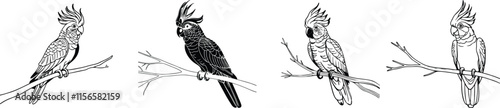Set of cockatoo mascot line vector illustration  white background