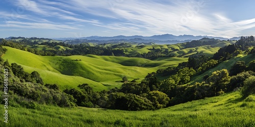 Green hills under cloudy blue sky with crowd trees and forest, wide landscape of nature and life