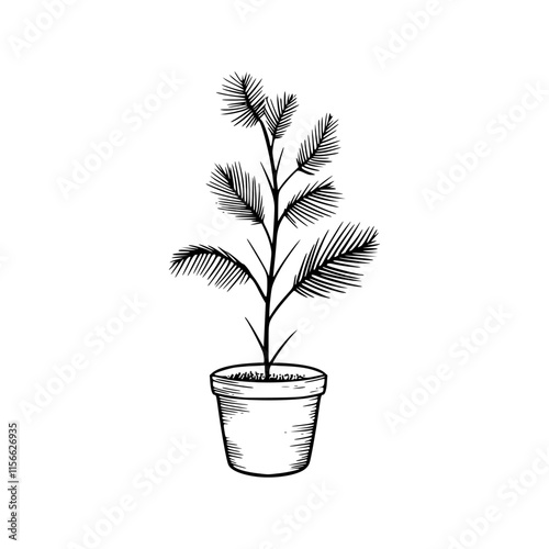a drawing of a plant in a pot illustration