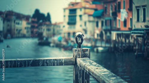 Distressed bird with ruffled feathers on weathered wooden perch, symbolizing avian disease and wildlife health issues.