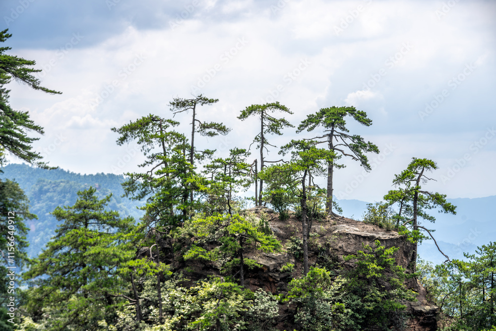 Fototapeta premium Mountains and forests in Zhangjiajie scenic area, Hunan Province, China