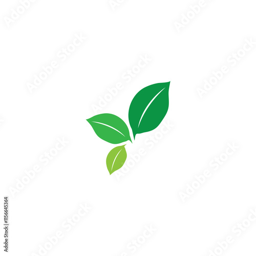 Leaf logo vector icon design template