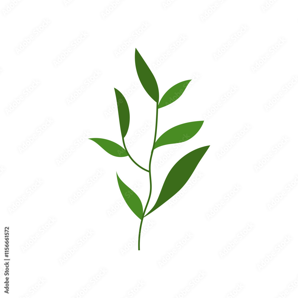 leaf illustration element leaf illustration element
