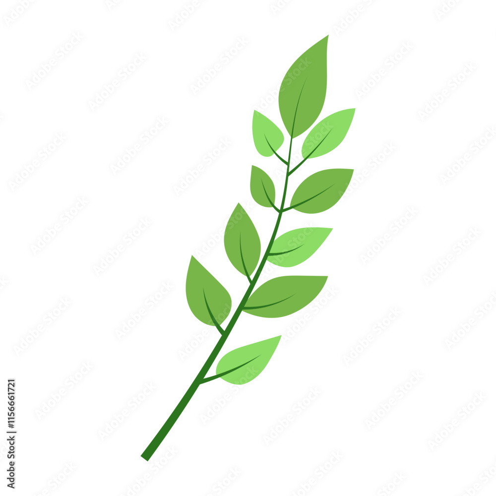 Fototapeta premium leaf illustration element