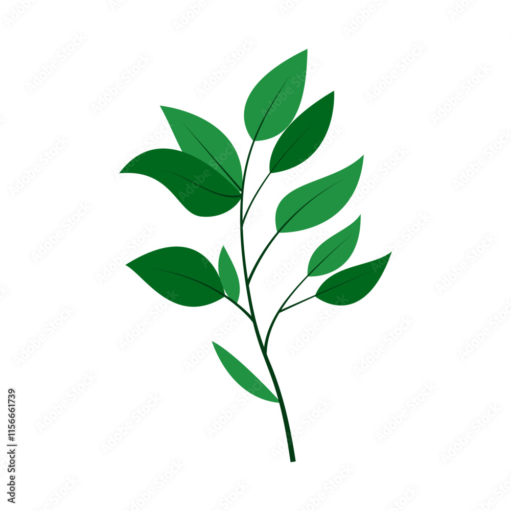 Fototapeta premium leaf illustration element