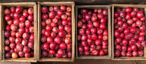 Organic red apples in wooden crates on a farm with ample space for text showcasing fresh harvest and healthy produce concept photo