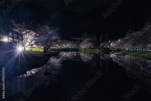 湖に映る夜桜 photo