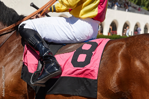 Obraz na płótnie Race horse with jockey detail. Purebred in the hippodrome. Turf w salonie