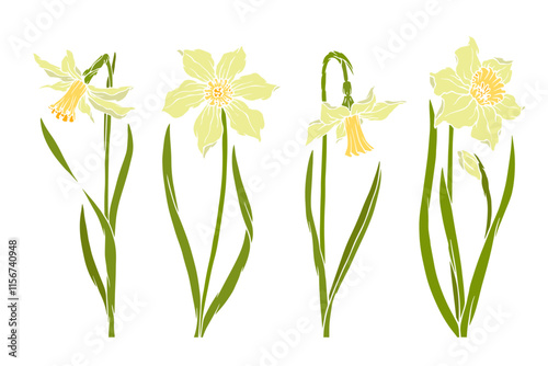 Set of colorful blooming spring daffodil flowers. Vector graphics.