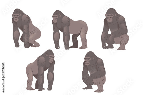 Stocky adult grey gorilla. Wild monkey or ape. Cartoon animal design. Vector illustration isolated on white background