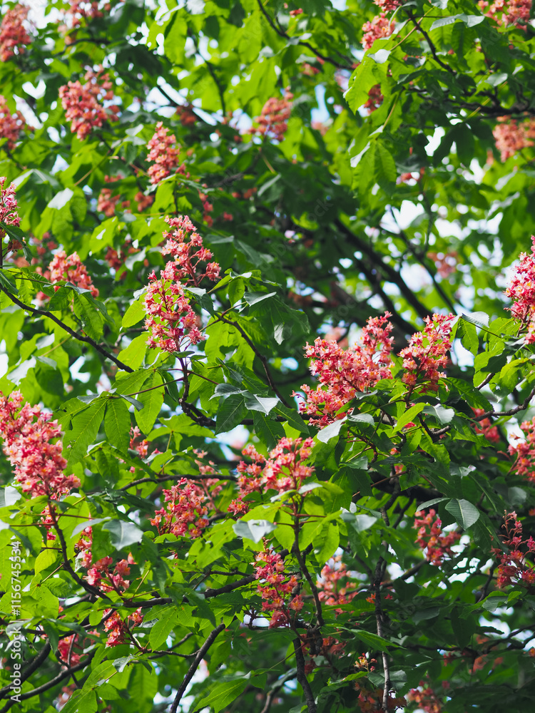 Obraz premium Plants in spring garden 