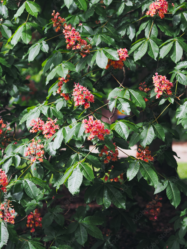 Obraz premium Plants in spring garden 