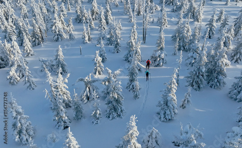 Aerial view of ski touring man and woman with snow shoes crossing winter mountains, fresh snow.