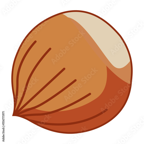 hazelnut healthy snacks nature food flat color vector illustration template design