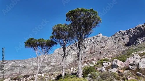 Table Mountain At Cape Town In Western Cape South Africa. National Park Scene. Giant Rocks. Cape Town At Western Cape South Africa. Tourism Travel. Transportation Skyline.