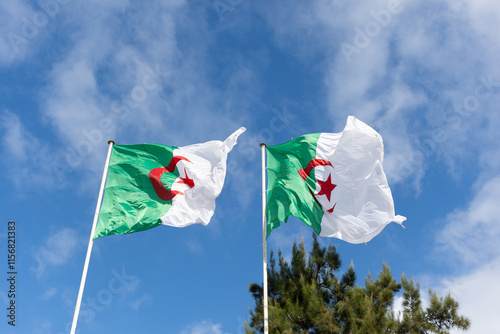 Algeria flag against a clear sky. 