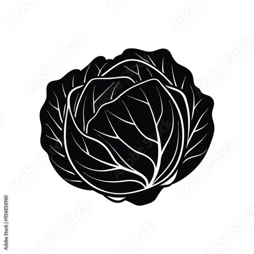 cabbage white background.eps