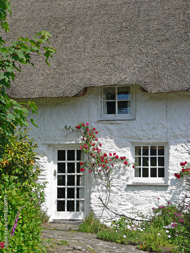 pictorial cottage with straw thatched roof, facade with roses