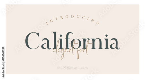 Elegant wedding alphabet letters font and number. Typography luxury classic lettering serif fonts decorative logo vintage retro concept. vector illustration