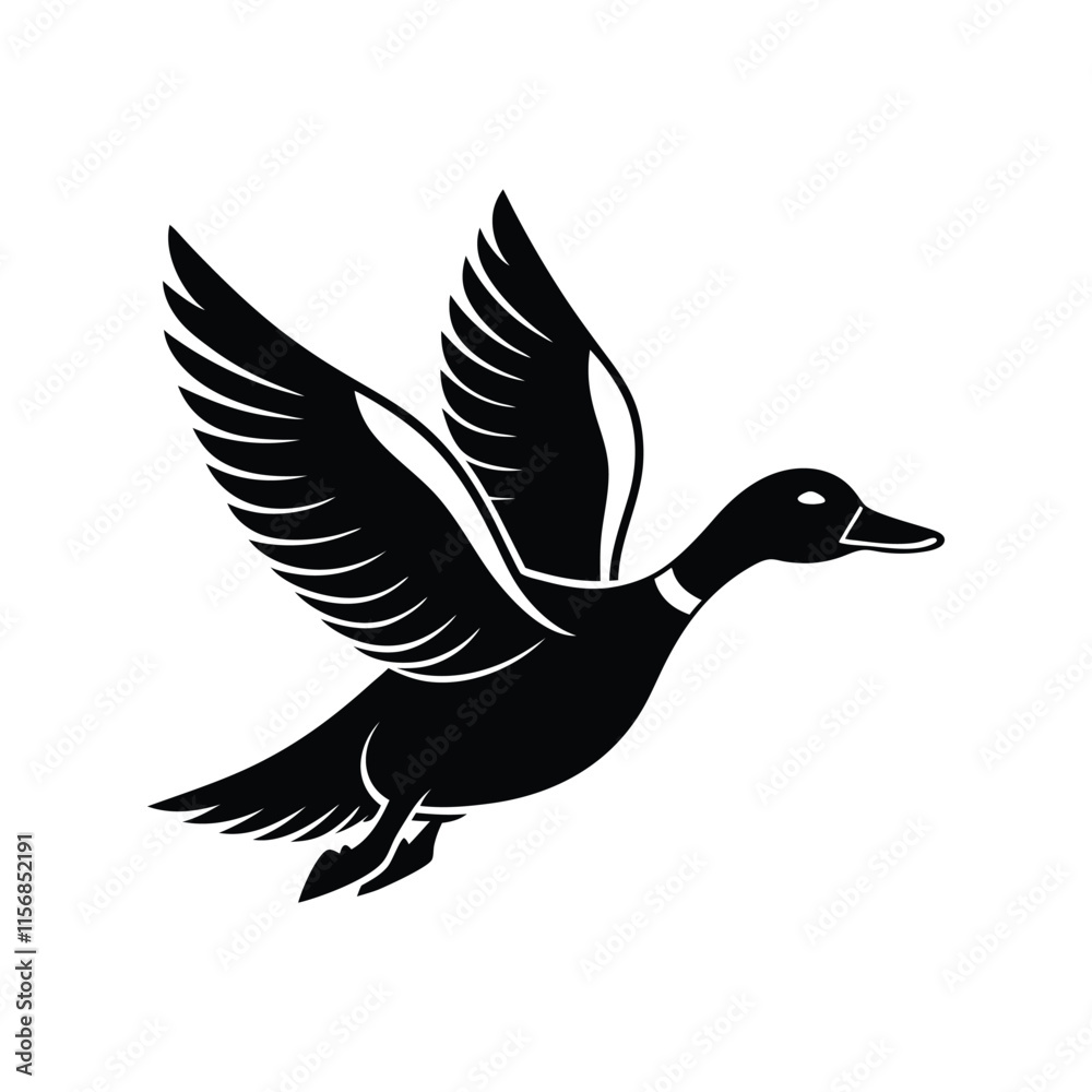Fototapeta premium flying duck.eps