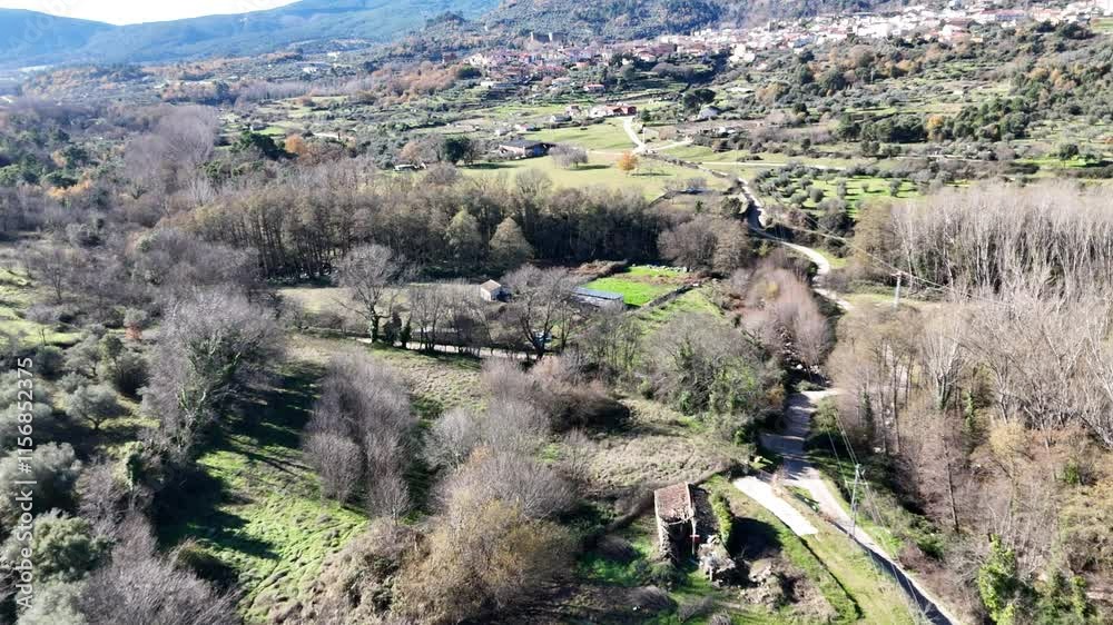 Campo con animales