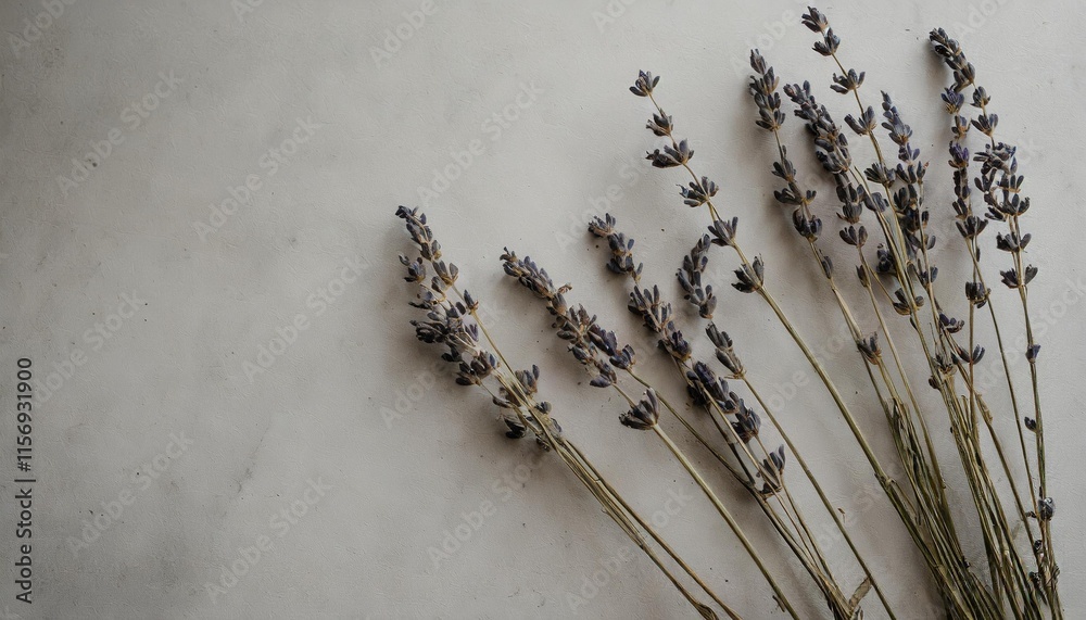 Minimalistic flat-lay of dried lavender stems against a light-colored surface Minimalistic flat-lay of dried lavender stems against a light-colored surface