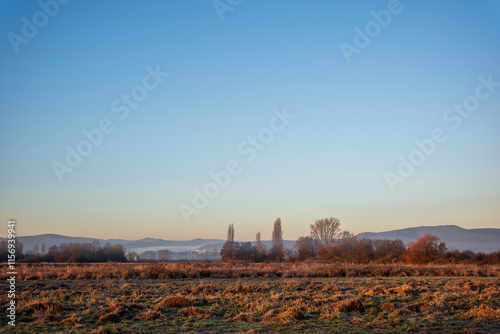 winter morning photo