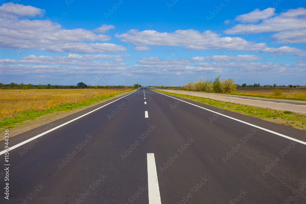 long asphalt road among green plain under a blue cloudy sky long asphalt road among green plain under a blue cloudy sky