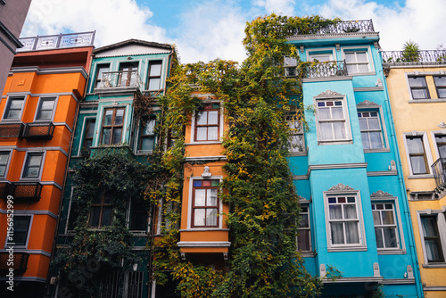 Traditional Ottoman era colorful houses with climbing plants covering the facade in Balat district on a sunny autumn day, Istanbul, Turkey photo