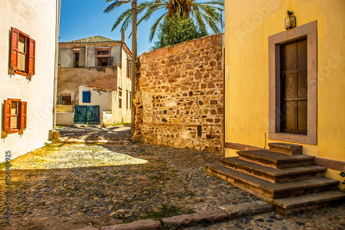 Bild auf Leinwand Charming cobblestone street with rustic houses and vibrant sunlight in Edremit