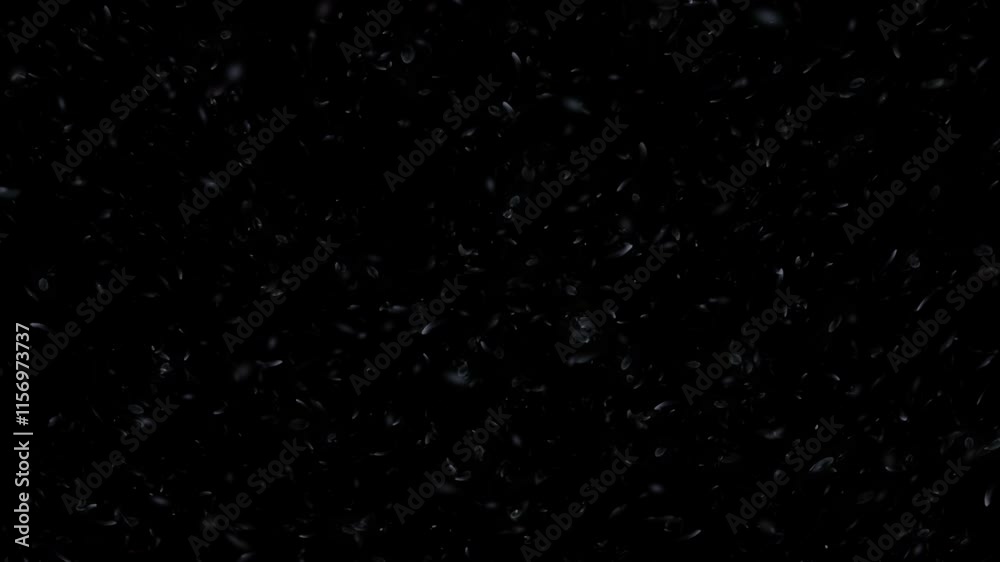 3D Animation Snow Falling Looping On Black Background. 4k 3D Animation Snow Falling Looping On Black Background. 4k