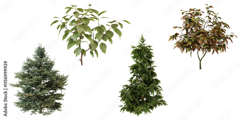 Fototapeta premium Collection of Top View Small Trees tranparent background