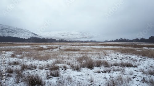 Snowy landscape with grass fields under a cloudy sky and mountains in the distance during winter season.