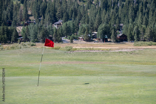 A flag in a hole on a large green, on a golf course, set amoungst pine trees, in the summer photo