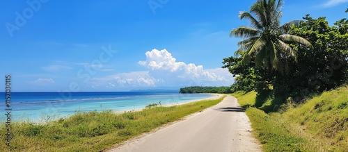Scenic unoccupied road winding towards a serene beach with vibrant blue sky and lush greenery on a sunny day