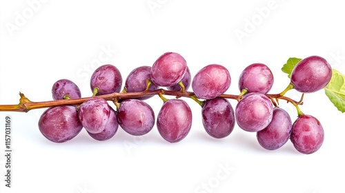 Fresh cluster of Vigna unguiculata beans isolated on a white background showcasing vibrant colors and natural textures for culinary uses photo