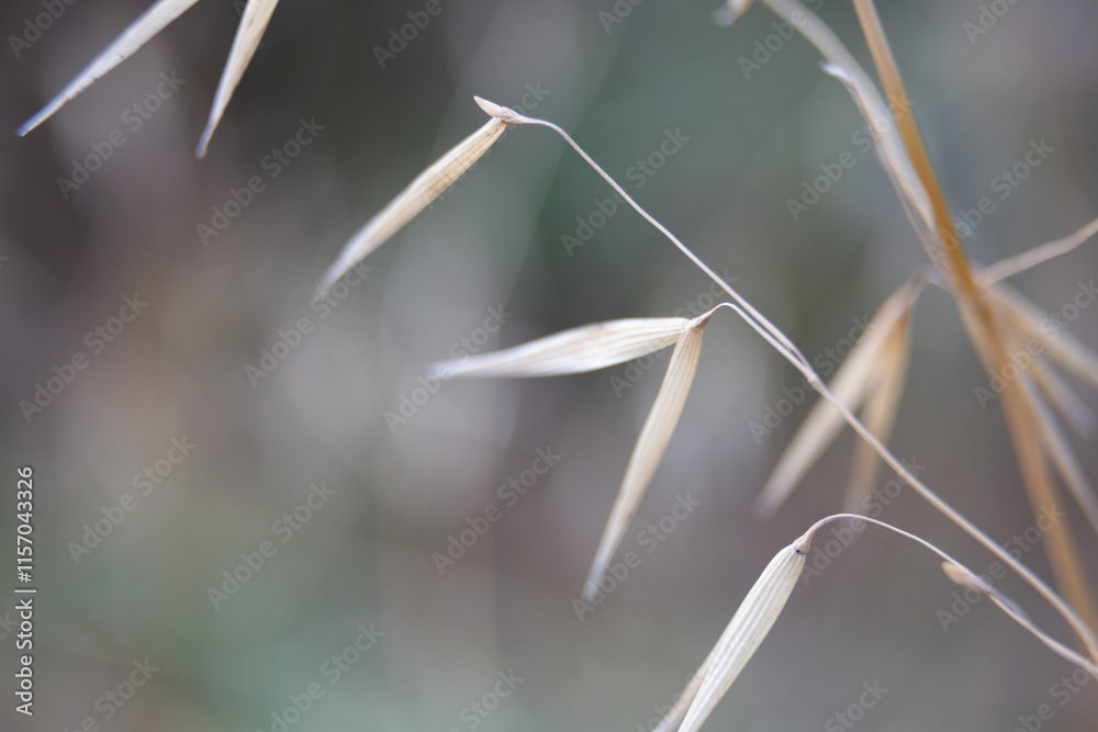 Water droplets sticking to green leaf surface