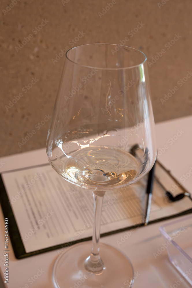 Obraz premium Tasting of white dry wine made on Moselle river valley in Luxembourg, winery visit in Grevenmacher, wine from terraced vineyards